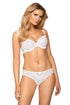 Roza Lagerta Brief